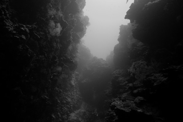 _9130127