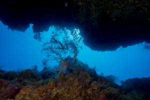 2016 CCR Safari Egypt